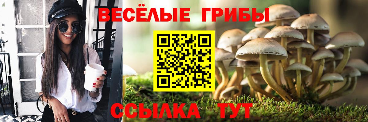 Псилоцибиновые грибы Psilocybine cubensis  Псилоцибиновые грибы ЛСД  Вход с VPN  Ставрополь 